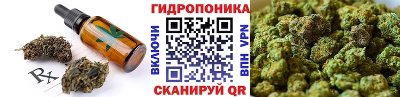 Купить закладки Мирный Cannafood марихуана