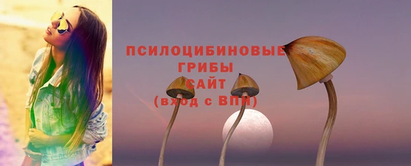 mdpv Верхний Тагил