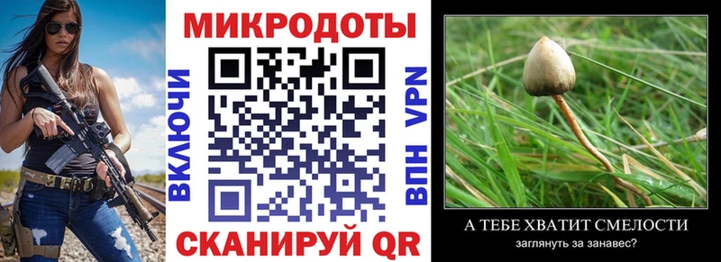 Купить где  Мирный  Псилоцибиновые грибы GOLDEN TEACHER 